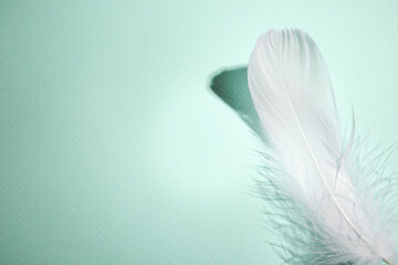 Fluffy white feather on light turquoise background, top view. Space for text