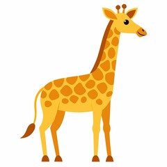 Vector giraffe isolated on white background