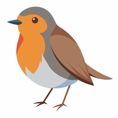 A robin bird illustration on a white background