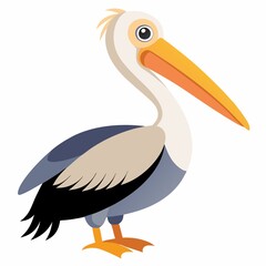 Illustration of a pelican bird on white background