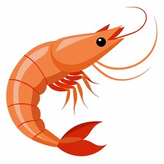 A shrimp vector illustration on white background