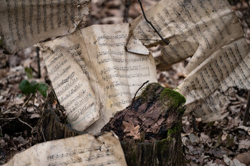 an old mysterious forest where ancient musical scores are scattered on the branches, tattered by time