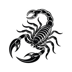 Fototapeta premium Scorpion illustration silhouette isolated on white background