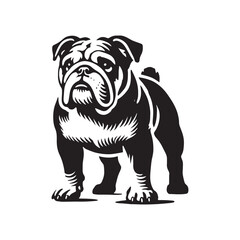English Bulldog  Vector - Minimalist English Bulldog  Silhouette - English Bulldog Illustration.