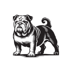 English Bulldog  Vector - Minimalist English Bulldog  Silhouette - English Bulldog Illustration.