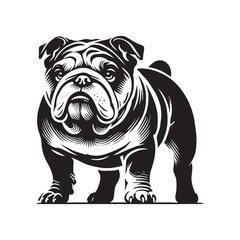 English Bulldog  Vector - Minimalist English Bulldog  Silhouette - English Bulldog Illustration.