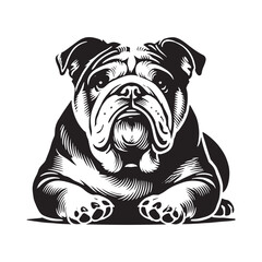 English Bulldog  Vector - Minimalist English Bulldog  Silhouette - English Bulldog Illustration.