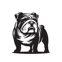 English Bulldog  Vector - Minimalist English Bulldog  Silhouette - English Bulldog Illustration.