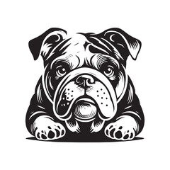 English Bulldog  Vector - Minimalist English Bulldog  Silhouette - English Bulldog Illustration.