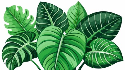Obraz premium A detailed close-up of rainforest leaves against a white background highlights the intricate details of their veins, textures, and the subtle variations in their shades of green, creating a high-qual