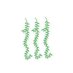 vines vector decoration