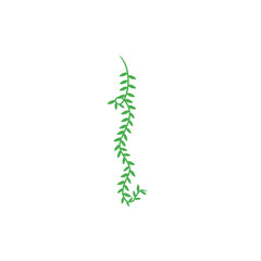 vines vector decoration