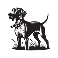 English Pointer Dog Silhouette - Minimalist Dog Design - English Pointer Dog Illustration.