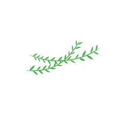 vines vector decoration