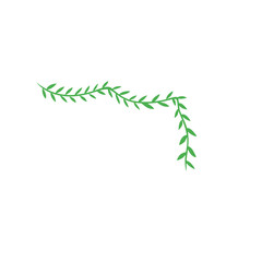 vines vector decoration