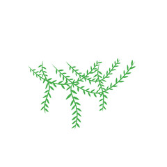 vines vector decoration
