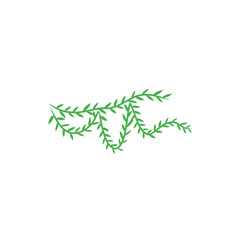 vines vector decoration