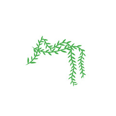 vines vector decoration
