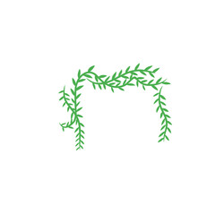 vines vector decoration