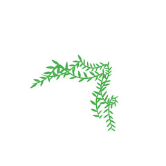 vines vector decoration