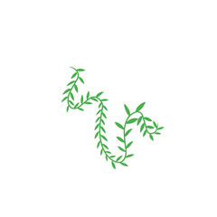vines vector decoration