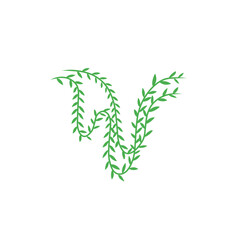 vines vector decoration