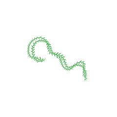 vines vector decoration