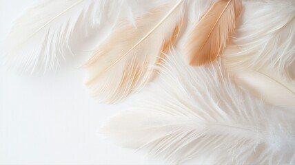 Soft white and beige feathers on a minimalist background, perfect for design projects and natural themes.
