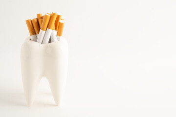Cigarette in teeth model isolated on white background, damage the health of your teeth, No smoking.