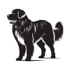 Estrela Mountain Dog Vector - Estrela Mountain Dog Design - Minimalist Estrela Mountain Dog Silhouette.