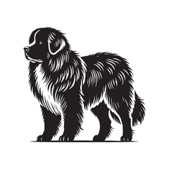 Estrela Mountain Dog Vector - Estrela Mountain Dog Design - Minimalist Estrela Mountain Dog Silhouette.