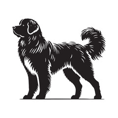 Estrela Mountain Dog Vector - Estrela Mountain Dog Design - Minimalist Estrela Mountain Dog Silhouette.