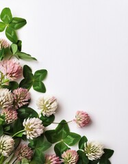 Natural beauty of clover flowers and leaves arranged on a white background