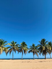 Fototapeta premium Serenity at the beach with palm trees swaying under a clear blue sky while waves gently lap the sandy shore in the distance. Generative AI