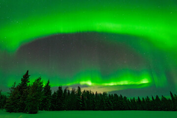 Aurora Borealis / Northern Lights in North Finland. Travel Finland Background. In Kittilä / Levi.
