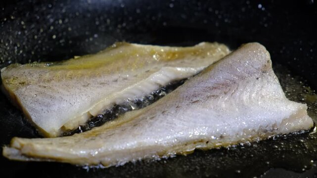 Cooking Indoors pan grilled seasoned Cod fillets on Stovetop, iron cast pan, close up boiled oil, deep fried. 