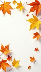 Golden autumn leaves scattered, pristine white backdrop, close up, plant