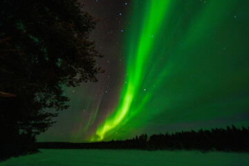 Aurora Borealis / Northern Lights in North Finland. Travel Finland Background. In Kittilä / Levi.