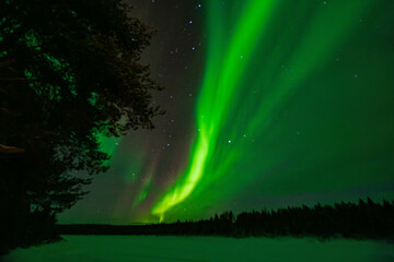 Aurora Borealis / Northern Lights in North Finland. Travel Finland Background. In Kittil&auml; / Levi.