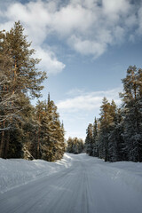 Obraz premium Snow covered road in North Finland on a sunny winter day. Travel Finland landscape background.