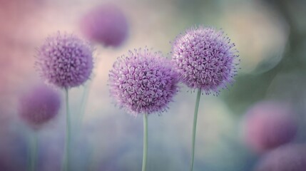Obraz premium Close-Up of Intricate Purple Flowers Displaying Beauty
