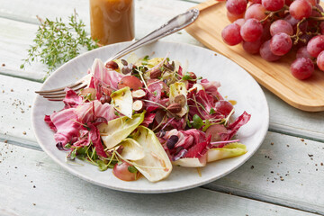 Bunter Gartensalat Radicchio