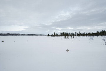 Frozen lake in North Finland in winter on a cloudy day. Moody landscape background.