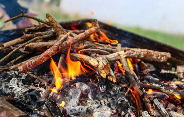 Burning wood in a brazier. Fire. 