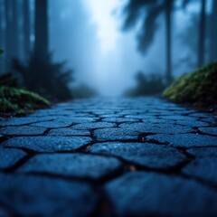 Obraz premium Foggy Path through a Dark Forest