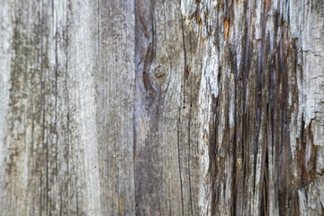 
old wooden planks texture.