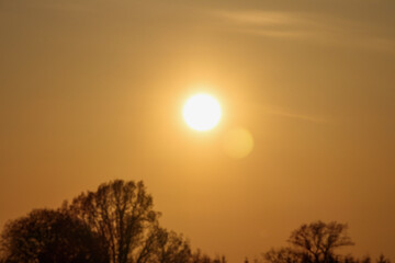 
sunset with bright sun and tree silhouettes.