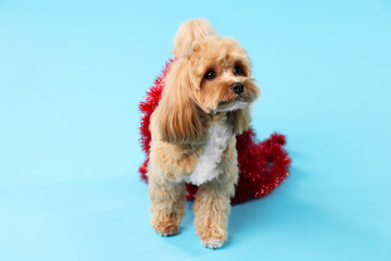 Cute dog with shiny tinsel on light blue background
