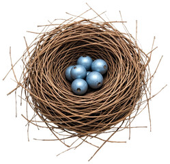 Fototapeta premium Nest with light blue eggs, transparent background png