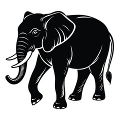 elephant vector illustration